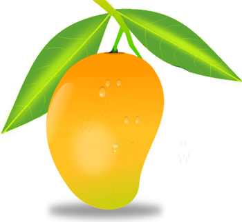 mango-clipart-9